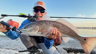 Wading for Redfish, Specks + More! (Catch & Cook)