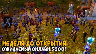 The Burning Crusade от WoW Circle. Обзор нового сервера World of Warcraft