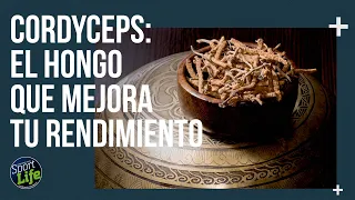 ❗TODO sobre el CORDYCEPS❗ El hongo DE LOS DEPORTISTAS | SPORT LIFE