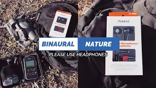 Binaural Nature Recording (Roland CS-10EM Microphones)