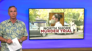 Daughter of North Shore murder victim takes stand in trial to tell chilling story of her kidnappi...