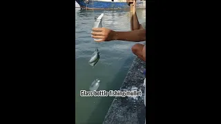 Glass bottle fishing for mullet #fishing #sea fishing #mullet