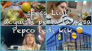 Svuota la spesa lidl e tanti acquisti per la casa