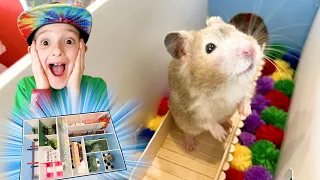 I Surprised My Son With A Hamster Maze