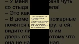 Лучшие смешные анекдоты. Юмор. У меня вчера жена.....