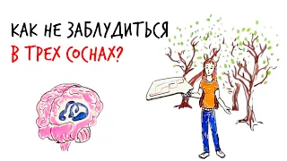 Как не заблудиться в трех соснах? — Научпок