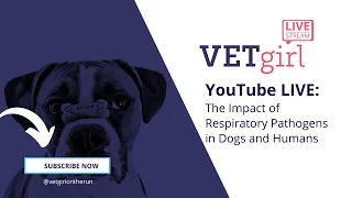 May 24, 2022: YouTube LIVE: The Impact of Respiratory Pathogens in Dogs and Humans