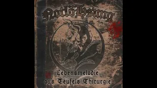 NotlöHsung - Lebensmelodie aus Teufels Chirurgie(Full Album - Released 2013)