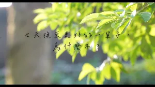 【七天換來更好的一輩子，為什麼不？】