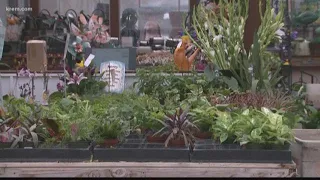 Spokane County Master Gardeners group gives tips for spring planting