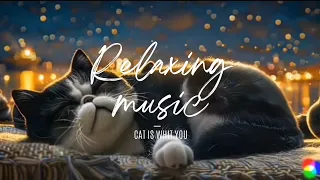 肥熊主題🔴 2hrs Relaxing Music, Sleep Music , Deep Sleep Music, Peaceful Music, Relaxing