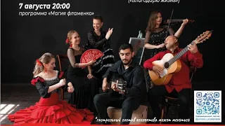 Прямой Эфир.Концерт Фламенко.Коллектив "Amigos Del Flamenco" #испанскаягитара  #flamenco #guitar