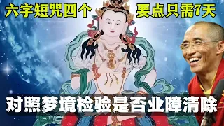 懺悔法竟隱藏著修心秘訣，看完方知才入门！金剛薩埵修法儀軌講記【显密法缘】#密宗#藏传佛教#法王如意宝