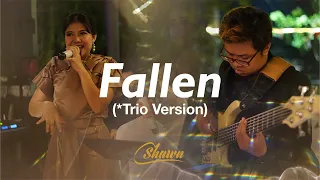 LAUREN WOOD - FALLEN (TRIO VERSION) COVERED BY SHAWN MUSIC