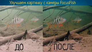 Как улучшить картинку с подводной камеры FocusFish