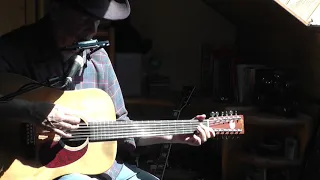 Heart of Gold - Neil Young (cover: 12 string/harmonica)