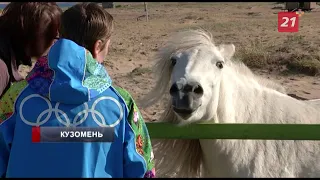 В Мурманской области жители села ополчились на диких лошадей