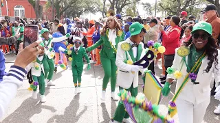 New Orleans Second Line | Perfect Gentlemen 2024