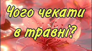 💯🔮ЧОГО ЧЕКАТИ В ТРАВНІ ⁉️ ОСНОВНІ ПОДІЇ ‼️🔮 ІНФОРМАЦІЯ З ПОТОКУ ДЛЯ ВАС‼️