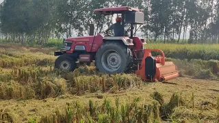 mahindra arjun 605 , after paddy mulcher farming @uttar Pradesh