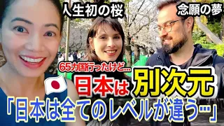 「日本は全てのレベルが違う...」人生初めての桜を見た外国人観光客が日本の全てに感動❗️#japaneseculture #japantravel #sakura #reaction #海外の反応