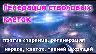 Генерация стволовых клеток против старения, регенерация нервов, клеток, тканей и хрящей.