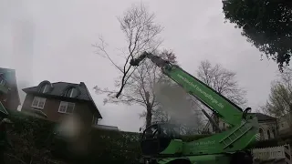 Horror-Baustelle! Was passiert diesmal? Buchen Fällung mit Fällkran, zweiter Versuch!