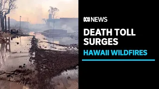 The death toll from Hawaii's wildfires surges again | ABC News