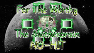 Terraria Homeward Journey Mod - The Motherbrain No-Hit（Legendary）