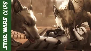 Loth Wolves vs Galactic Empire | Star Wars Clips