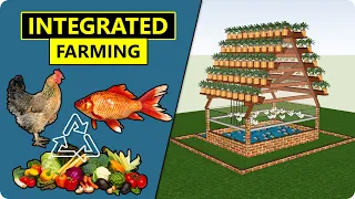 Integrated Chicken, Plant and Fish Farming (ICPF) | Combination of Vertical Farming & Aquaponics