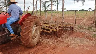 IMPLEMENTO PARA O MF 65! A GRADONA NIVELADORA