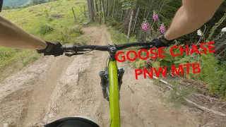 Tokul East Mountain Biking Goose Chase (Top to Bottom)