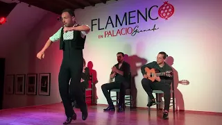 Bailaor: David Córdoba • Tablao Flamenco en Palacio • Granada