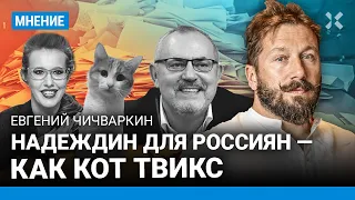 ЧИЧВАРКИН: Надеждин для россиян — как кот Твикс. Ему не дадут больше 1%. Собчак и Путин