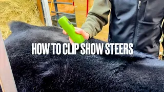 How To Clip Show Steers