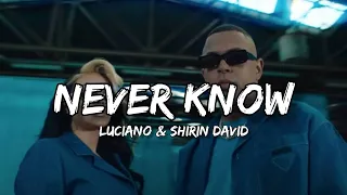 Luciano & Shirin David - Never Know (Lyrics)