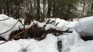 Winter Sasquatch Bigfoot Tracks February 2017