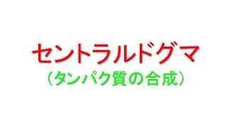 セントラルドグマ解説