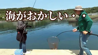 【海の異常事態】どこもかしこも巨大魚だけが釣れる堤防で私の腕は引き裂かれる