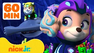 PAW Patrol's BEST Water Rescues! 🌊 w/ Coral, Rubble, Skye & Chase | 1 Hour Compilation | Nick Jr.