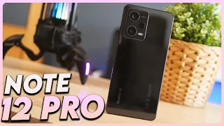 A este PRECIO puede ser el MEJOR del AÑO | Redmi Note 12 PRO