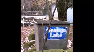 Abandoned Geauga Lake Campground