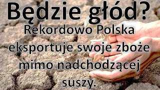 Czy Polacy będą głodować? Polska eksportuje swoje zboże.