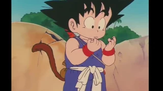 Primer Kamehameha de Goku / Roshi pide a Goku que entrene con él