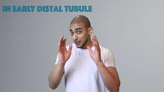 Distal Convoluted tubule  شرح بالعربي