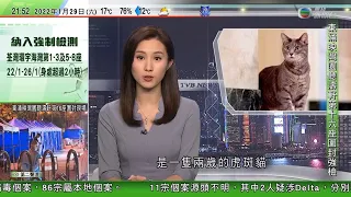 無綫7:30 一小時新聞 TVB News｜日本新增新冠確診再創單日新高｜白宮第一貓時隔十多年再現 名字靈感來自拜登夫人故鄉｜北京冬奧下周開幕 國際奧委會主席讚揚籌備工作出色｜20220129