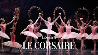 Le Corsaire - Le Jardin Animé - LaScalaTv (Teatro alla Scala)