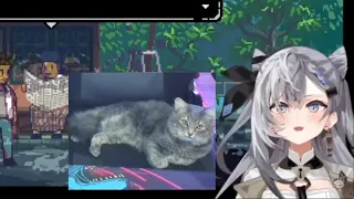 Streamer Kucing