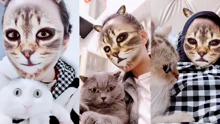 Cats' hilarious reaction when they see cat filter on owners' faces | Funny Cat Videos 2020